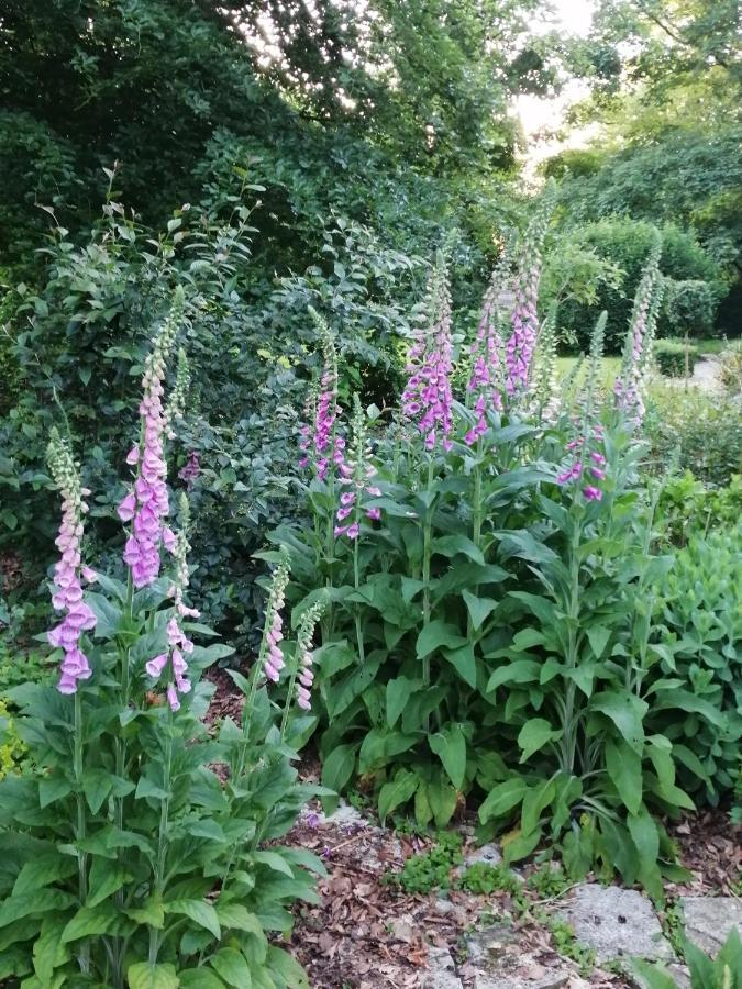 Chambre E Andre Le Domaine Des Jardins De Bracquetuit Екстер'єр фото