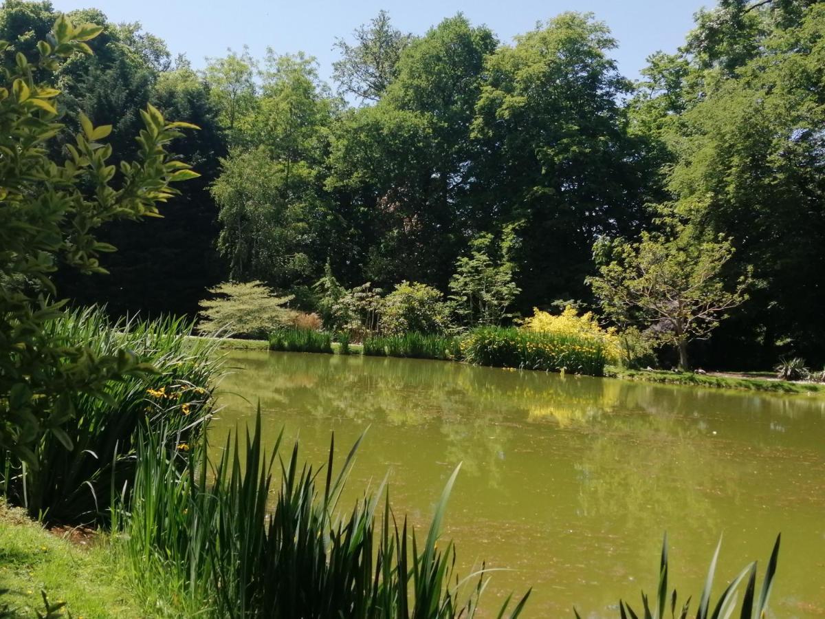 Chambre E Andre Le Domaine Des Jardins De Bracquetuit Екстер'єр фото